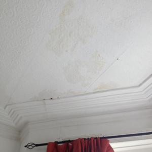rain water damage