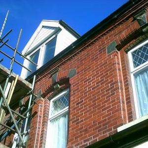 fungi growth due to rain water