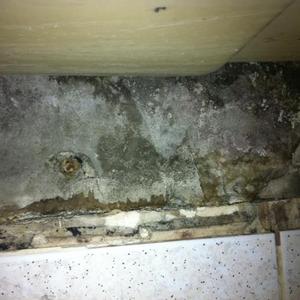 Asbestos?