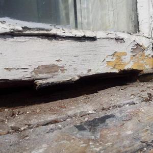 Rotted windows