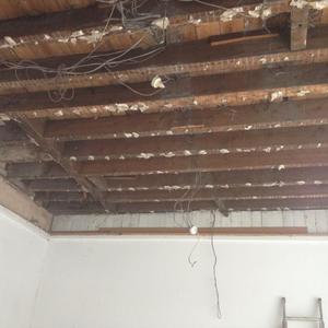ceiling joists