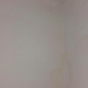 Bedroom Damp