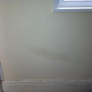 Plaster repair
