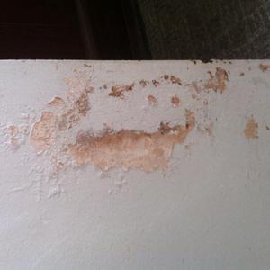 Flaking paint/plaster