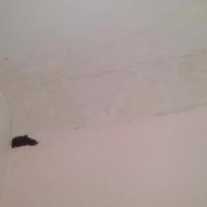 Cracked curved ceiling