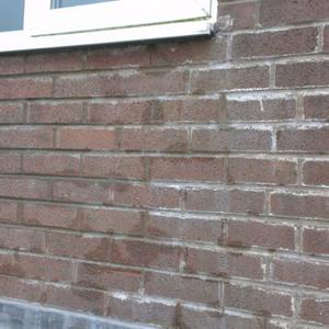 Water Leaking into House - Pics