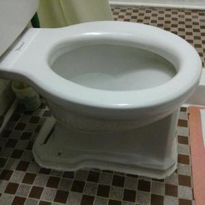 Toilet Bowl