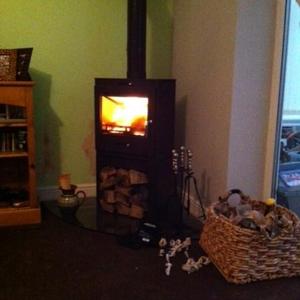 Log Burner