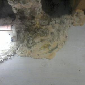 Dry Rot