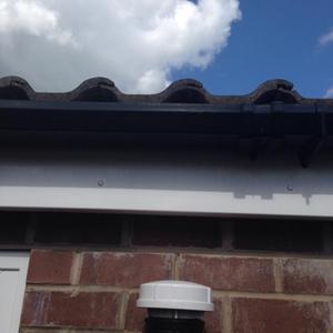 Flat Roof Nightmare