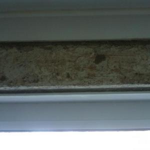 front door damp
