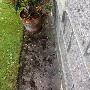 Condenser boiler waste pipe 