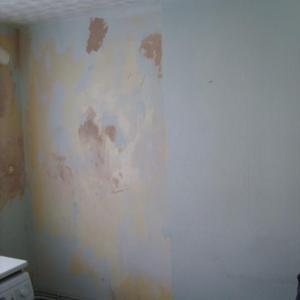 Sockets above cooker