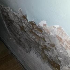 internal concrete render