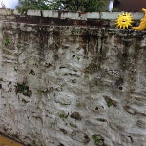 Garden dividing wall