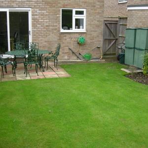 Rear garden