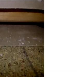 Squeaky floor near Partition.