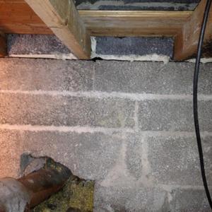 Damp under floor