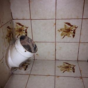 Log burner flue pipe