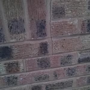 Outside Wall Cracks