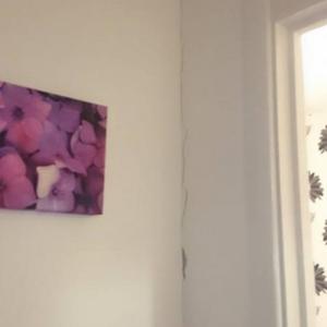 internal cracks and gaps