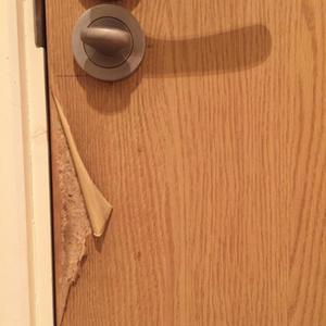 Door
