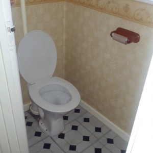 Toilet replacement