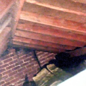 Leaking roof/chimney?