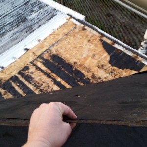 Flat Roof