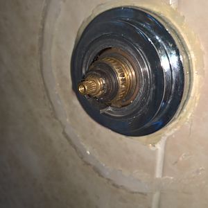 Shower fitting