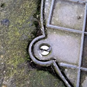 Extension - Plumbing