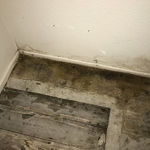 Help with damp