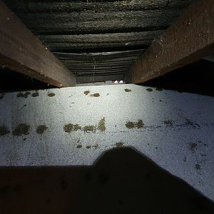 Loft condensation
