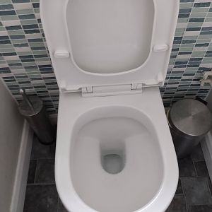 Toilet seat