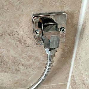 Shower plate