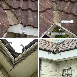 Behind fascia