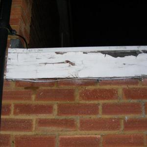 MY FLAT ROOF HELL !!!