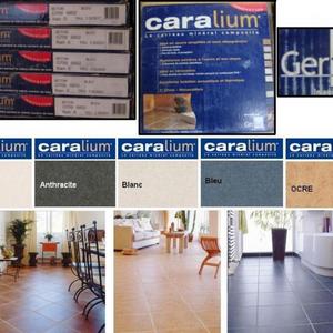 CARALIUM