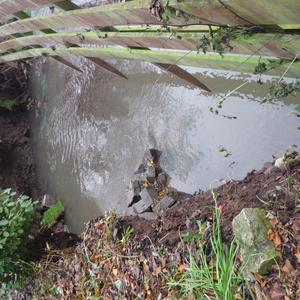 mousies garden thats gone