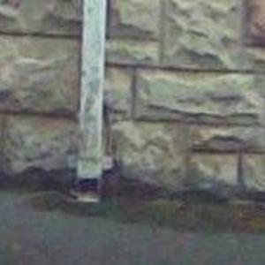 Penetrative dampness