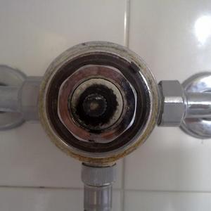 Unknown mixer shower