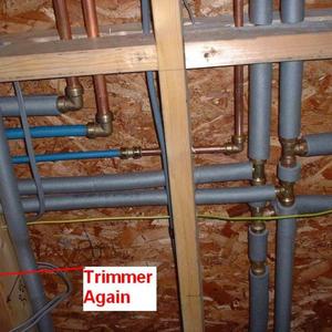 Timber Joists