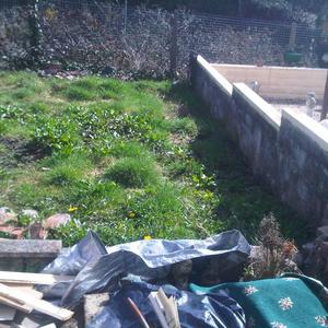 rear,side and front gardens