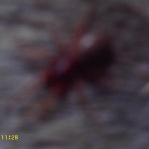 Problems with the roof