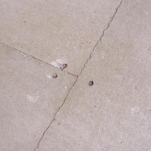 dinning floor boards