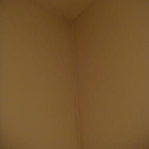 damp patches in room