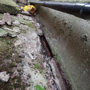 Damp Issue - Outside