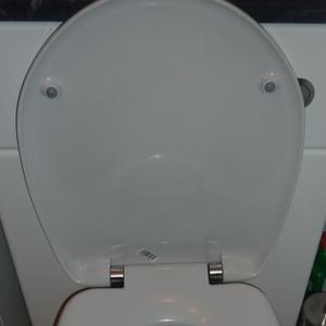 Toilet Seat