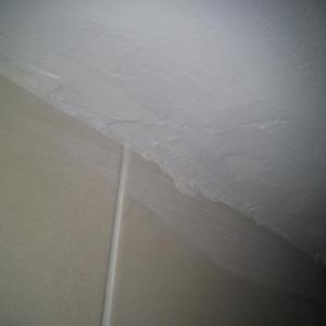 Bathroom ceiling