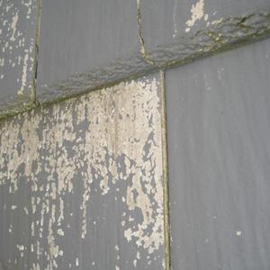 Marley Monarch Tile Coating Failure